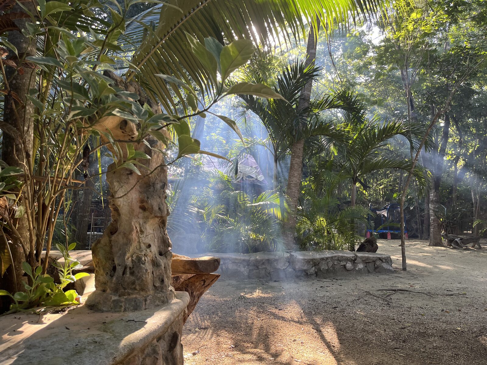 Jungle light